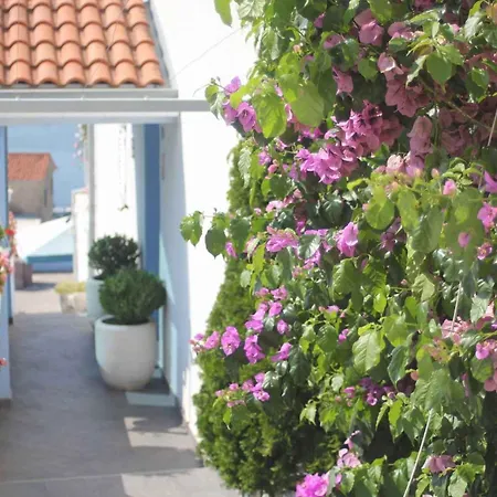 In 43529 Apartamento *